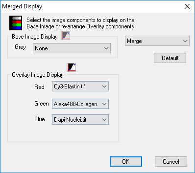 Merged Display dialog